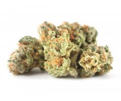 Quality Cannabis Strains Wholesale
