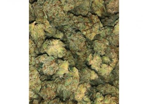 Top Strains available 
