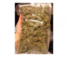 High grade medical marijuana sativa and indica with hybrid a...