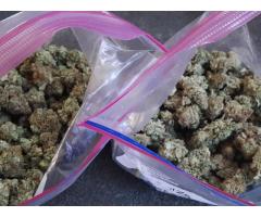 Top grade indoor and outdoor marijuana