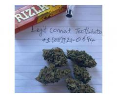 top quality buds and carts text 3183210688