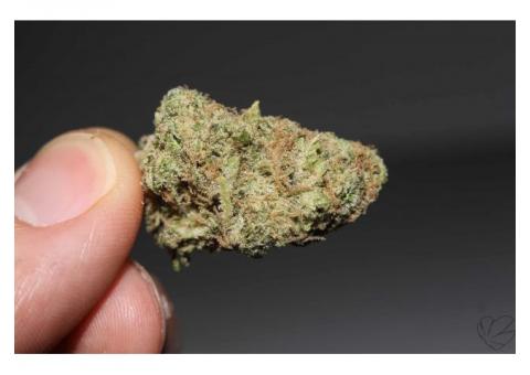 Top quality marijuana strains available at affordable prices