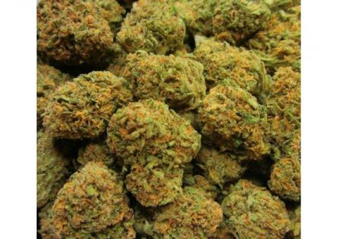 We have Sour Diesel, GrandDaddy Purple, OG Kush, Sour Og Kush,