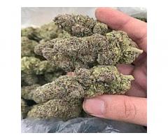 Top medical CANNABIS STRAINS available