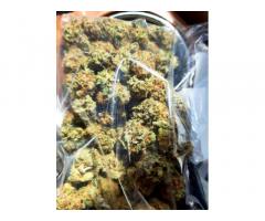 Quality white widow for sale