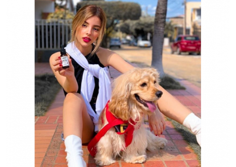 Best CBD For Dogs - JustCBD Pet Store