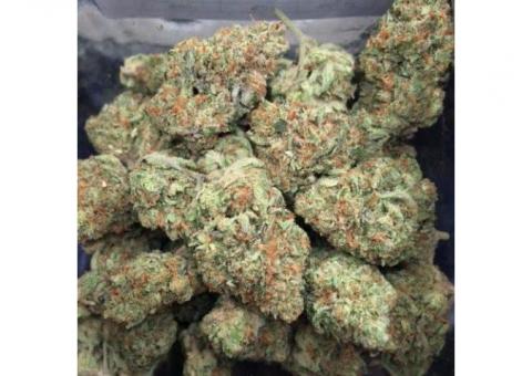 TOP QUALITY MEDICAL CANNABIS