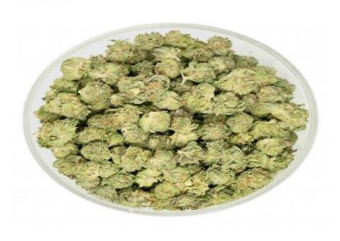 Buy Cheap Weed Online at Topbccannabis.cc
