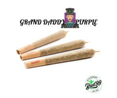 Buy Pre-rolled Cannabis Online in Canada