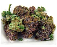 Top shelf Medical Marijuana And Cannabis Oil for Sale