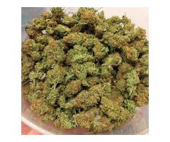 Text: (661) 450-8308 :: Top Quality Medical Marijuana,Buds,C...