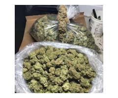 LEGIT AND CONSISTENT GROWERS AND DISTRIBUTION OF TOP QUALITY...