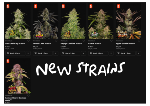 New autoflower weed seeds 2024 !! 