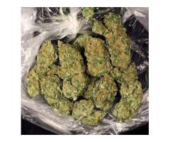Top Quality Indoor/Outdoor MMJ Strains Available for connect...