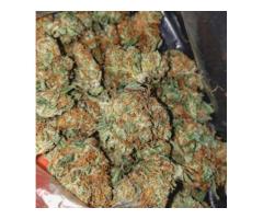 BEST QUALITY CANNABIS STRAINS,EDIBLES AND CONCENTRATES AT WHOLE SALE PRICE