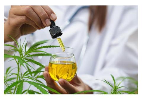 CANNABIS OIL FOR CANCER TREATMENT 