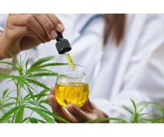 CANNABIS OIL FOR CANCER TREATMENT