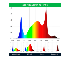 Best led grow lights for cannabis plants 2024 - Scynce LED R...