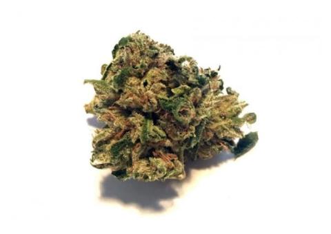 TOP QUALITY GRADE A STRAINS...FAST DELIVERIES