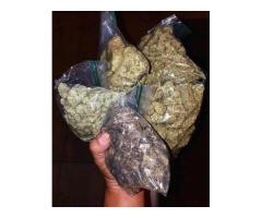 Medical Marijuana Grade A++ top quality Shipping and Deliver...