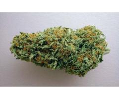 Medical Marijuana Grade A++ top quality Shipping and Deliver...
