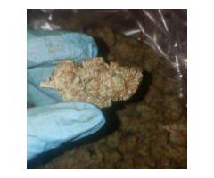 Grand Daddy Purple..text or cal.+1(310)299-5578 or email..(m...