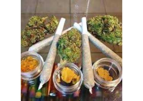 +16052155473HIGH QUALITY INDICA,SANTIVA AND HYBRIDS INCLUDING DISTILLATES AND CONCENTR