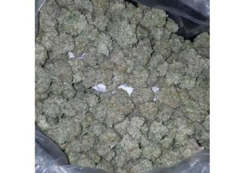 Buy Medical Marijuana, Cannabis oil, marijuana edibles, Moon Rocks  http://gethighbuds.com/