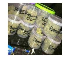 top shelf grade AA+ cannabis