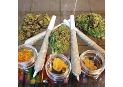 Best Top quality Indica, sativa and Hybride Medical marijuana srains available (+15404414605