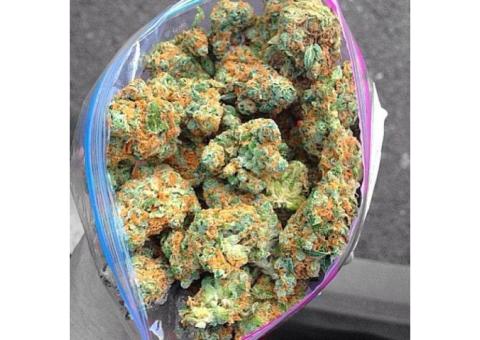 Best Top quality Indica, sativa and Hybride Medical marijuana srains available (+15404414605