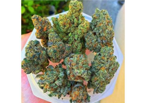 Medical Marijuana Grade A++ top quality  Call or Text and  the number on screen +1(605)215-5473