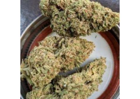 Grand Daddy Purple..text or cal.+1(310)299-5578 or email..(medicalsativa2010@gmail.com)