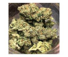 +9292650847 WE HAVE HIGH GRADE SATIVA AND INDICA SRAINS BELO...
