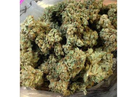  (+15404414605 WE HAVE HIGH GRADE SATIVA AND INDICA SRAINS BELOW IS A LIST OF SOME AVAILABLE STRAINS