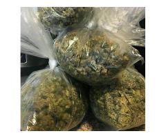 Topshelf medical marijuana of several strains now ready for ...