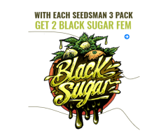Black Sugar Feminised Seeds <mark>Seedsman</mark>