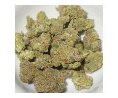 Grand Daddy Purple..text or cal.+1(310)299-5578 or email..(m...