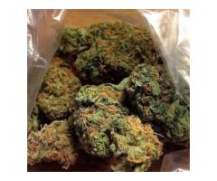 Autoflowering Diesel Feminized ,text +1(701)922 2568 or wick...