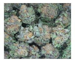 We grow and sell varieties of marijuana strains. Available: ...