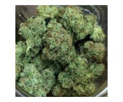 (+15404414605 WE HAVE HIGH GRADE SATIVA AND INDICA SRAINS BE...