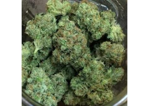 Medical Marijuana Grade A++ top quality  Call or Text and  the number on screen +1(605)215-5473