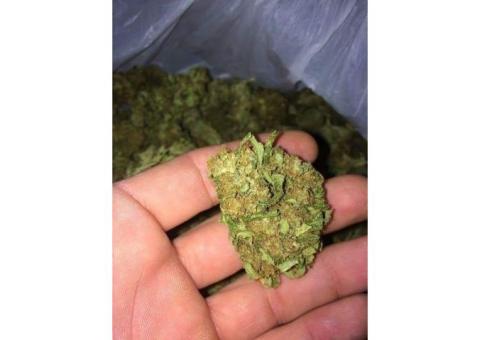 [wickr: ozchat] Buy marijuana weed CBD strains Hemp oil Edibles and concentrate