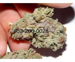 Quality Medical Marijuana Available (669)257-4643