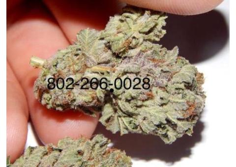 Order Moon Rock,Sour Diesel,White widow,Green crack,Og Kush,Purple haze,Rainbow,Ak47