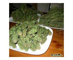 ORDER HIGH GRADE CANNABIS AT AFFORDABLE RATE.PAYMENT ONLY UP...