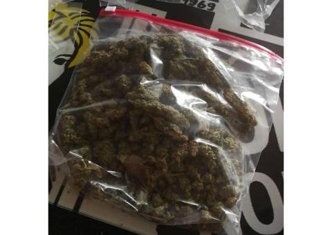 STONNING INDOOR GROWN MARIJUANA STRAINS OF TOPSHELF QUALITY