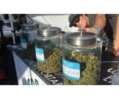 Marijuana Spot is the safest place to go when you need to bu...