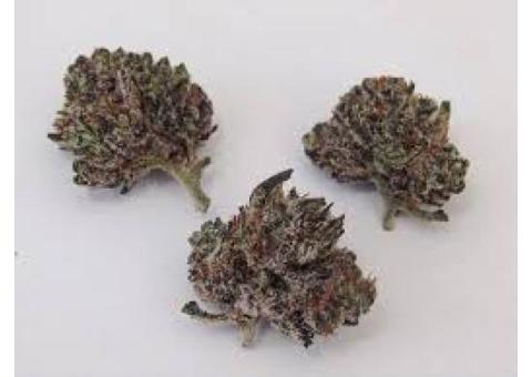 TOP QUALITY MARIJUANA BUDS AND CANNABIS Call or text: +1(985)247-9621