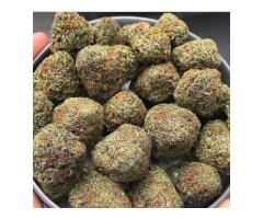 best medical maijuana strains